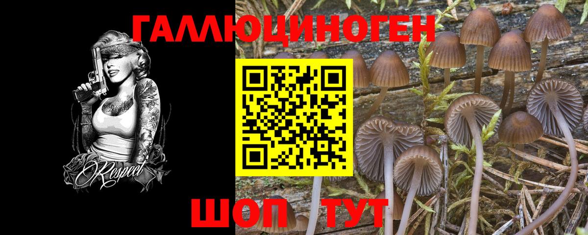 Псилоцибиновые грибы мухоморы Волоколамск