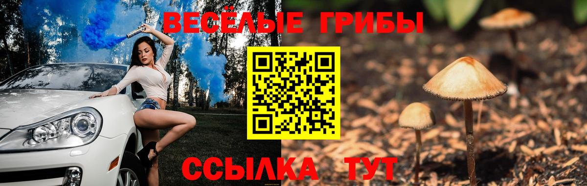 Волоколамск  наркотики  Псилоцибиновые грибы MAGIC MUSHROOMS  Вход с VPN  Галлюциногенные грибы GOLDEN TEACHER 